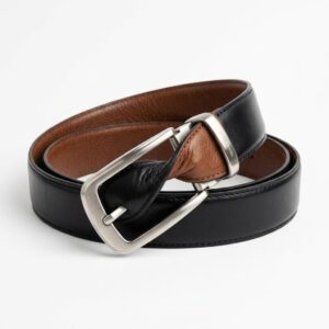 The Gemini Reversible